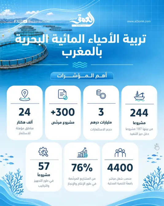 تربية الأحياء المائية بالمغرب.. رهان استراتيجي نحو ريادة الاقتصاد الأزرق وتحقيق السيادة الغذائية