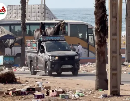 أزبال وروائح كريهة بمولاي عبد الله