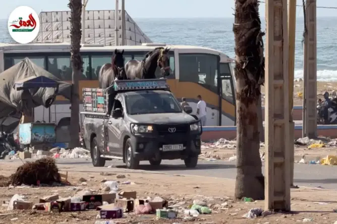 أزبال وروائح كريهة بمولاي عبد الله