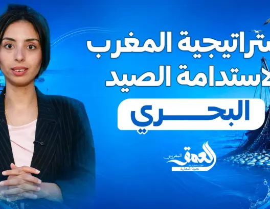 من الميناء للمستهلك.. كيفاش كتتطور طريقة بيع الحوت فالمغرب؟