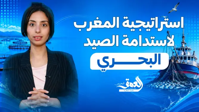 من الميناء للمستهلك.. كيفاش كتتطور طريقة بيع الحوت فالمغرب؟