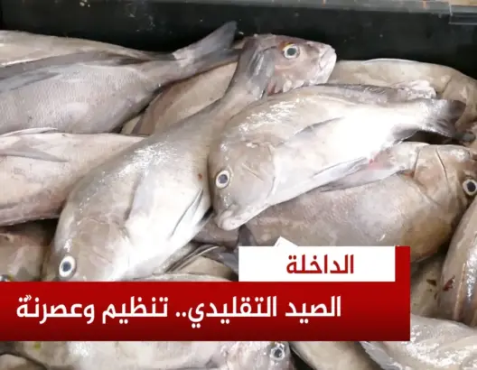 عقدان من التحول.. الصيد التقليدي بالداخلة ينتقل من أزمة المخزون إلى التنظيم والعصرنة
