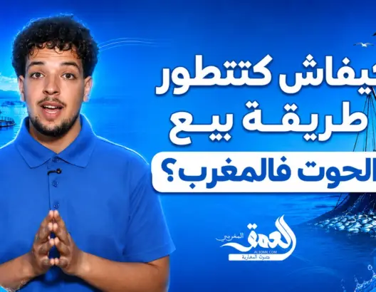 من الميناء للمستهلك.. كيفاش كتتطور طريقة بيع الحوت فالمغرب؟