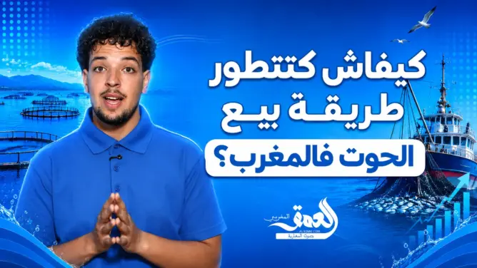 من الميناء للمستهلك.. كيفاش كتتطور طريقة بيع الحوت فالمغرب؟