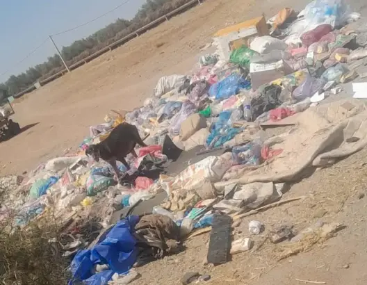 النفايات تحاصر أحياء ودواوير بتسلطانت ومطالب بانتظام الجمع وتعزيز الحاويات