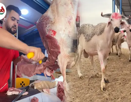 من 150 إلى 200 درهم للكيلو.. خصاص الأغنام يلهب أسعار اللحوم والجزارون يحذرون من الأسوأ