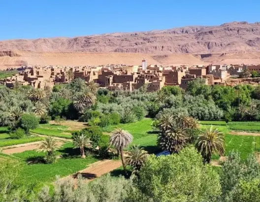 دراسة ترصد استنزافا حادا للمياه الجوفية بزاكورة واحتمال تجاوز الضخ للتغذية الطبيعية بـ82%