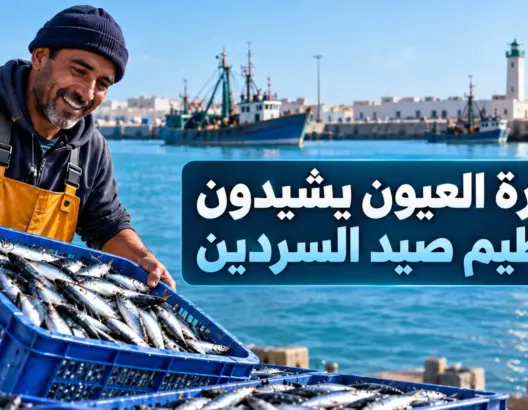 وفرة السردين تنعش بحارة العيون