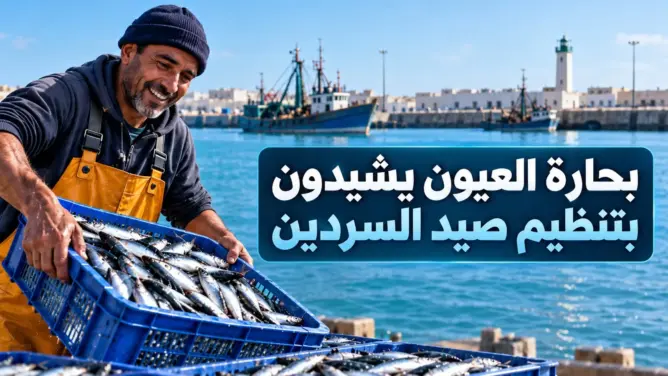 وفرة السردين تنعش بحارة العيون