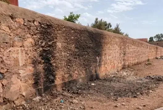 الشماعية.. مطالب بوقف حرق النفايات بمحاذاة مؤسسة للرعاية الاجتماعية