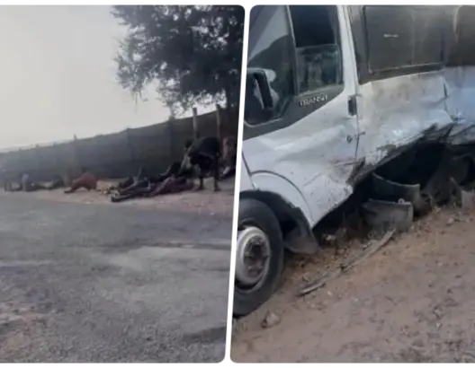 بينهم جنسيات إفريقية.. إصابة 14 عاملا زراعيا في حادث سير بأيت عميرة (صور)