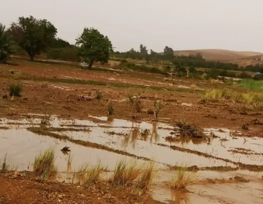 جمعية تدعو إلى حماية الأراضي الفلاحية من مخاطر الفيضانات بإدلسان نواحي ورزازات
