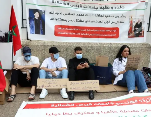 “بغينا حل للمعادلة” .. خريجو قبرص الشمالية يحتجون أمام وزارتي التعليم والخارجية (فيديو)