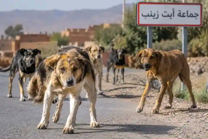 ورزازات ورزازات