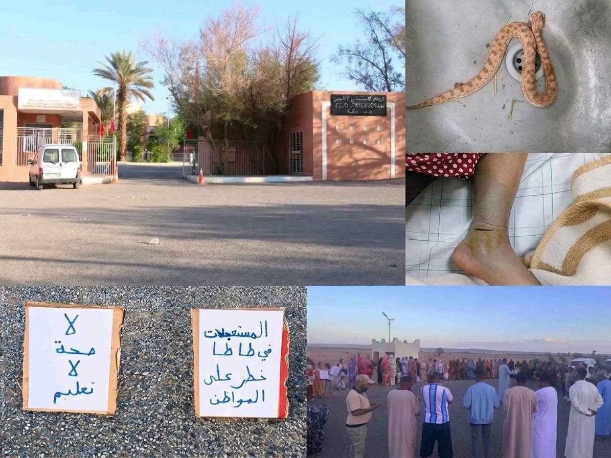 صورة الخبر