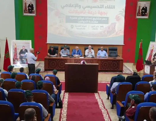 الرشيدية.. لقاء مهني يبحث تأهيل قنوات تسويق الدواجن ودعم الاستثمار