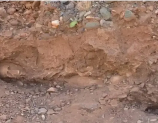 مراكش.. العثور على بقايا عظام بشرية يستنفر الدرك الملكي بتسلطانت