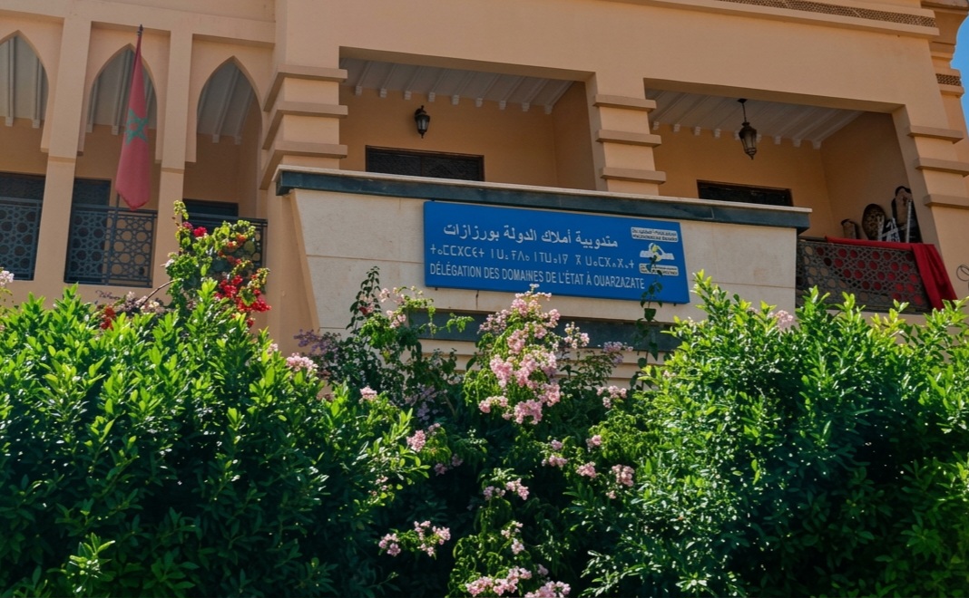 صورة الخبر
