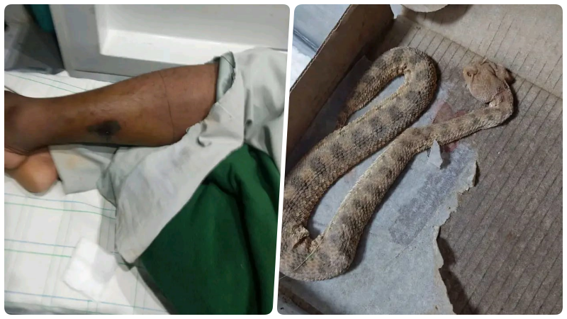 صورة الخبر