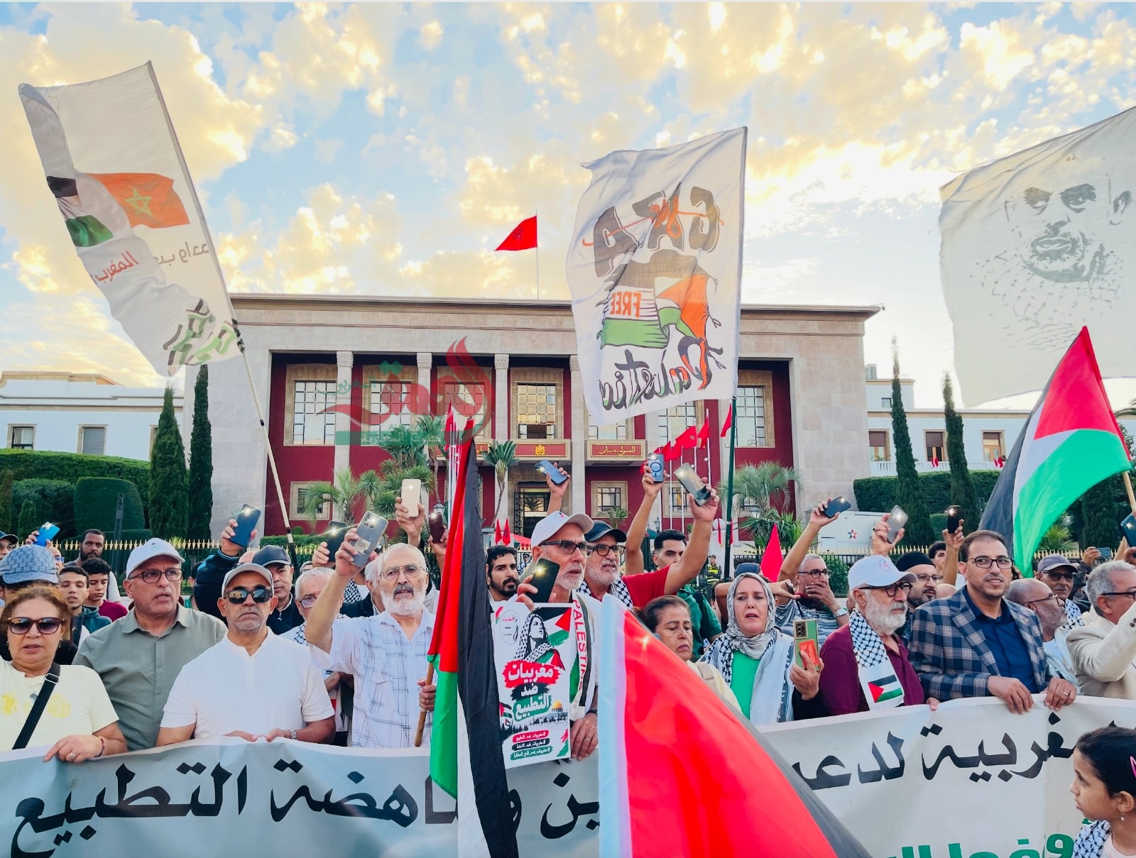 صورة الخبر