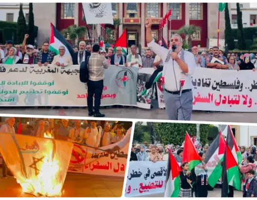 ذكرى 7 أكتوبر.. إحراق علم إسرائيل أمام البرلمان واحتجاجات ضد “تبادل السفراء” (فيديو وصور)