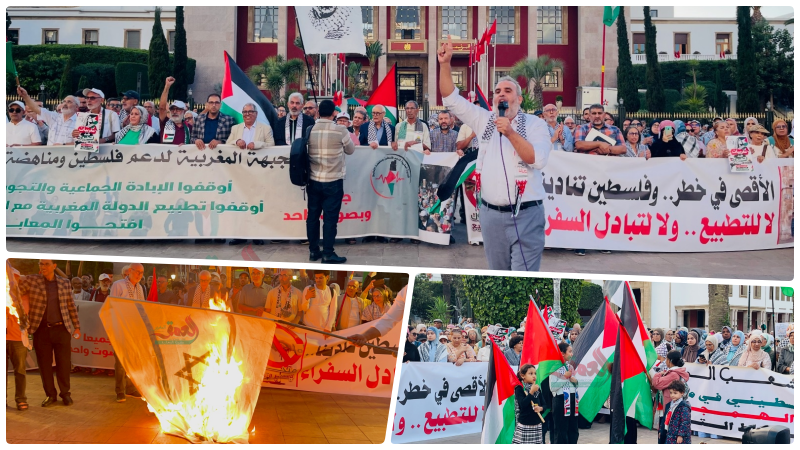 صورة الخبر