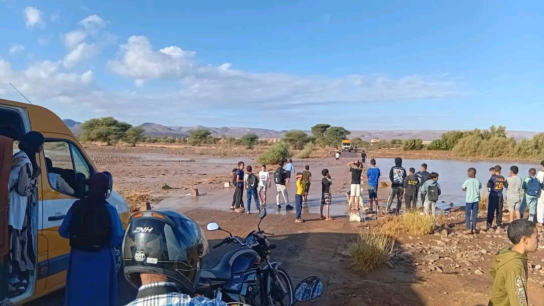 صورة الخبر
