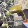 هل يتراجع سعر زيت الزيتون إلى 30 درهما؟