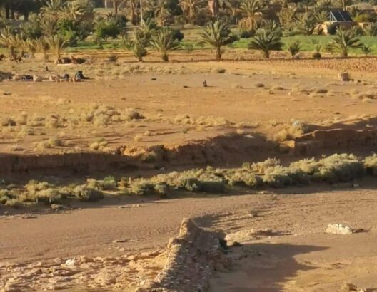 فركلة العليا.. جمعية لمستخدمي المياه تطالب بإنجاز سد تحويلي على وادي السات لتنمية الواحة
