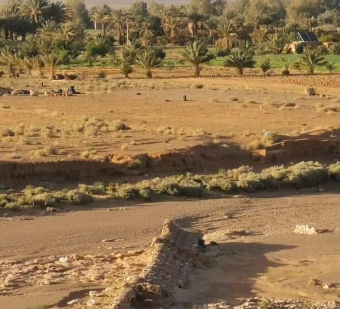 فركلة العليا.. جمعية لمستخدمي المياه تطالب بإنجاز سد تحويلي على وادي السات لتنمية الواحة