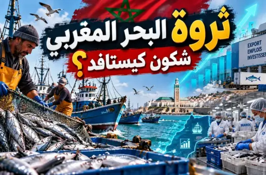 شنو تبدّل فالصيد البحري بالمغرب خلال 5 سنوات؟