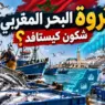 شنو تبدّل فالصيد البحري بالمغرب خلال 5 سنوات؟