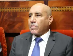 الحكومة تنهي الإعفاء الجمركي لاستيراد الأبقار.. والبرازيل تستحوذ على 90% من الواردات