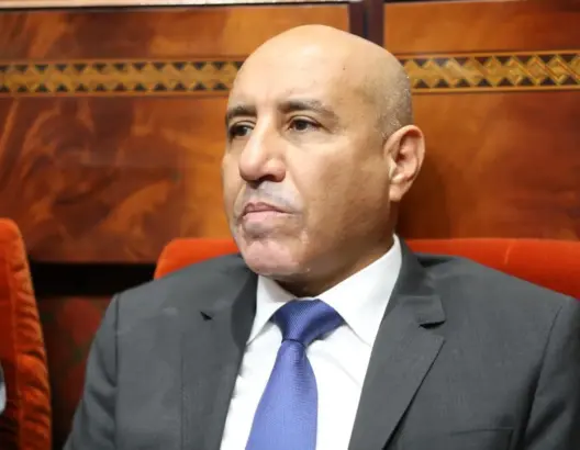 الحكومة تنهي الإعفاء الجمركي لاستيراد الأبقار.. والبرازيل تستحوذ على 90% من الواردات