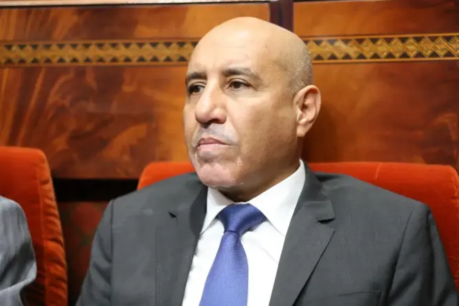 الحكومة تنهي الإعفاء الجمركي لاستيراد الأبقار.. والبرازيل تستحوذ على 90% من الواردات