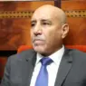 الحكومة تنهي الإعفاء الجمركي لاستيراد الأبقار.. والبرازيل تستحوذ على 90% من الواردات