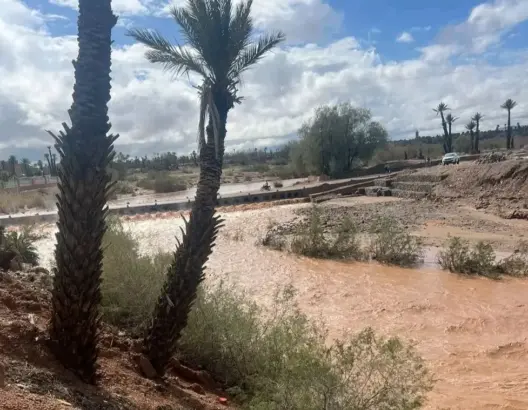 تنجداد .. العثور على جثة طفل جرفته سيول وادي فركلة