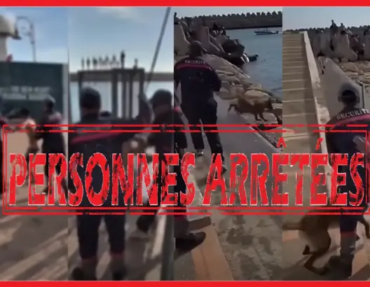 فيديو تحريض كلب على أطفال يطيح بشخصين بأكادير