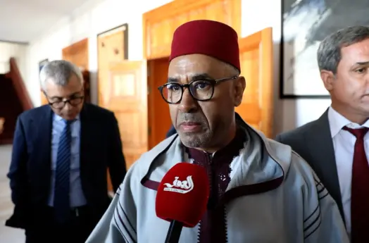 بوانوو: هذه حكومة برأسين