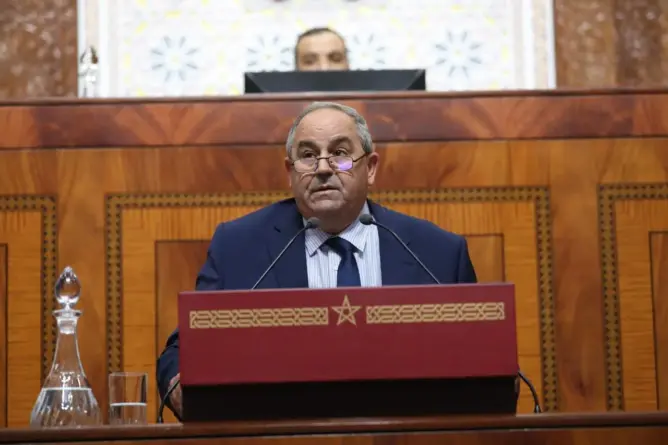 وزير التعليم العالي والبحث العلمي والابتكار عز الدين الميداوي
