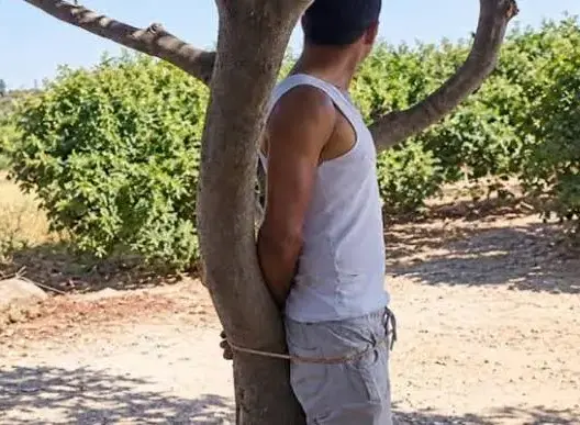 بعد انتشار فيديو تعنيف شخص مكبل إلى شجرة.. النيابة العامة تحرك المتابعة في حق 3 أشخاص بسيدي قاسم