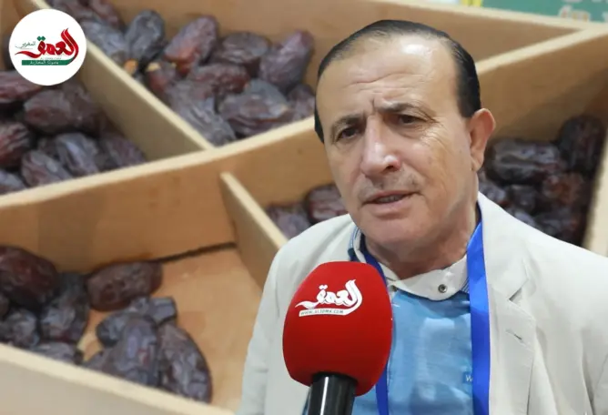 تمر المجهول المغربي يثمر بجودة ووفرة في الأردن