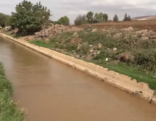 أزمة السقي بسهل صبرة.. برلمانية تطالب نزار بركة بتدخل عاجل لإنقاذ الأشجار المثمرة بإقليم الناظور